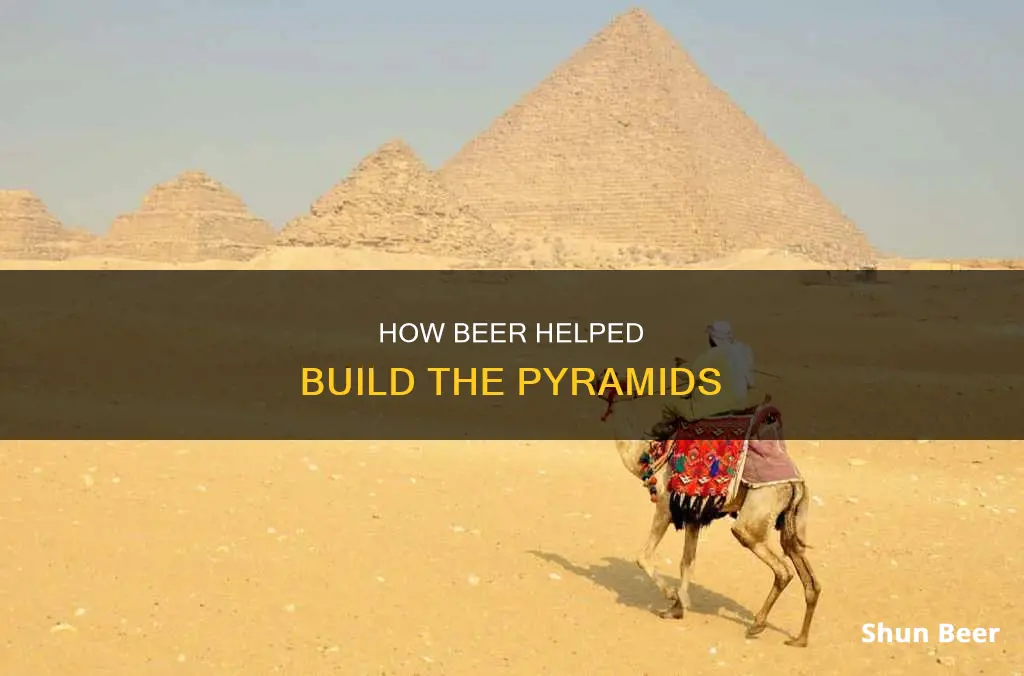 did the people who built the pyramids drinking beer