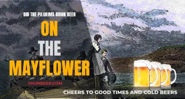 Beer-Drinking Pilgrims: The Mayflower's Alcoholic History