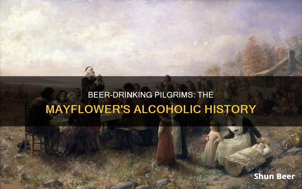 did the pilgrims drink beer on the mayflower