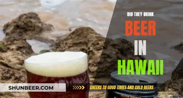 Beer Drinking in Hawaii: A Historical Perspective