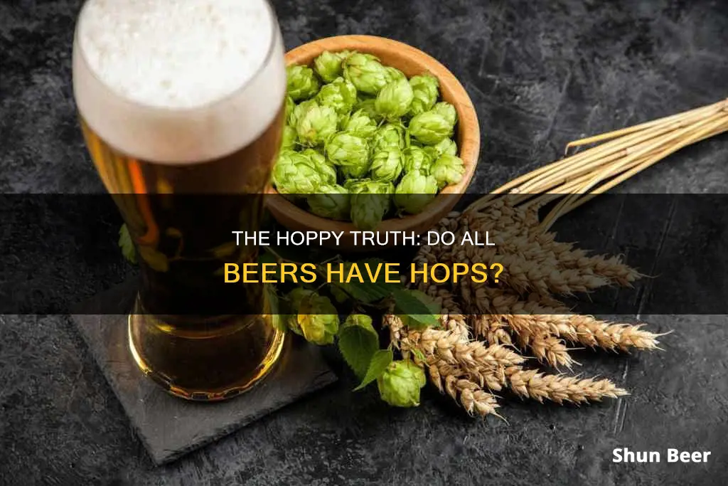 do all beers have hops