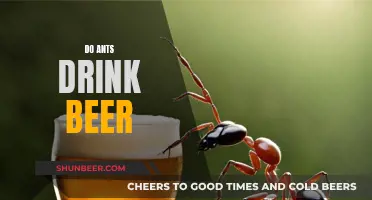 Ants and Beer: A Curious Relationship Explored