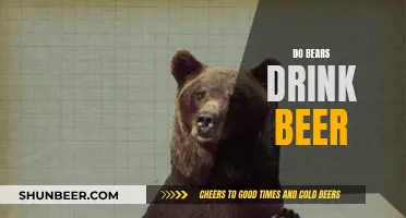 The Beer-Drinking Bear: Fact or Fiction?