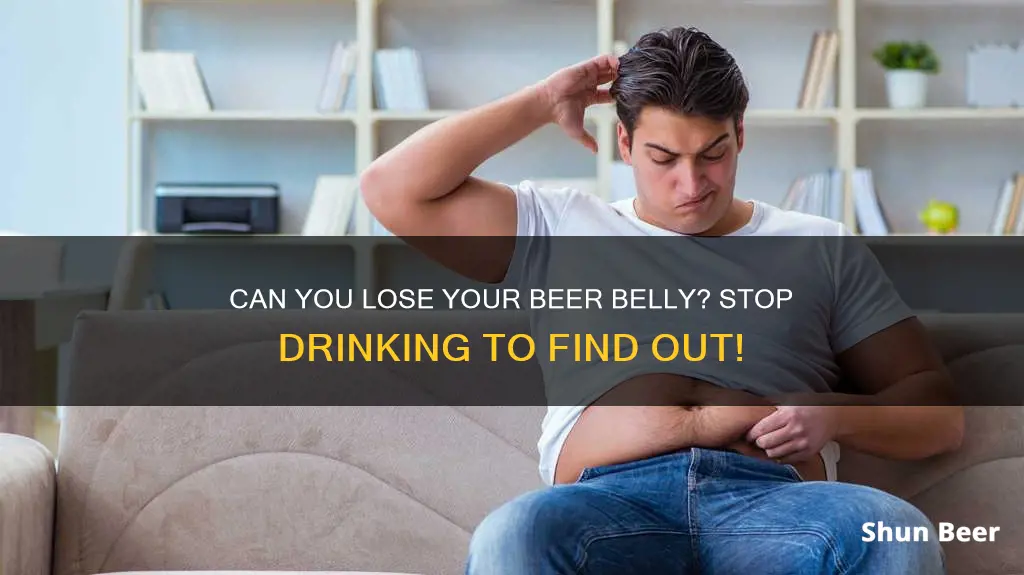 do beer belly go away when you stop drinking