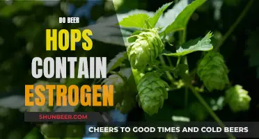 Hops and Hormones: The Estrogen-Beer Link Explained