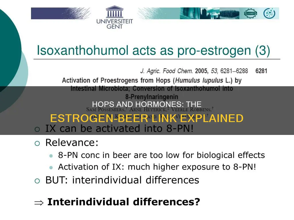 do beer hops contain estrogen