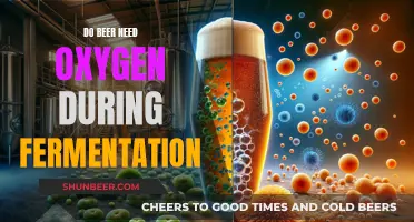 Uncorking the Mystery: Does Beer Need Oxygen During Fermentation?