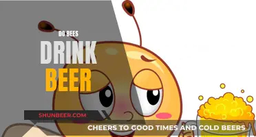 Beer and Bees: An Unlikely Friendship?