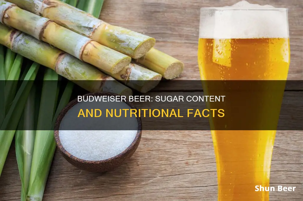 do budweiser beer have sugar in it