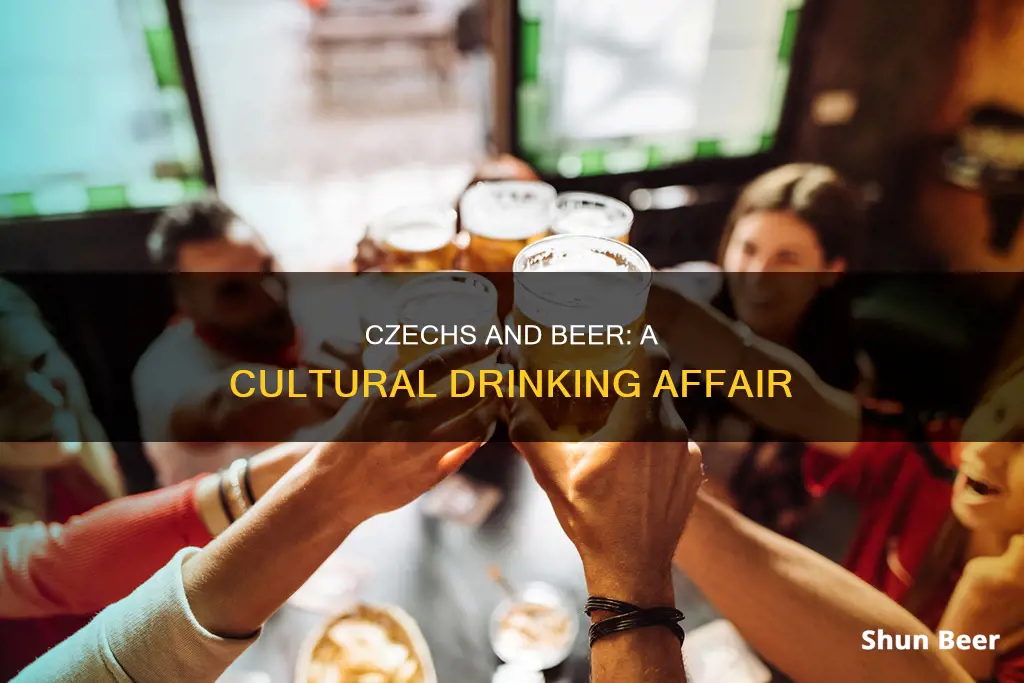 do czechs drink the most beer