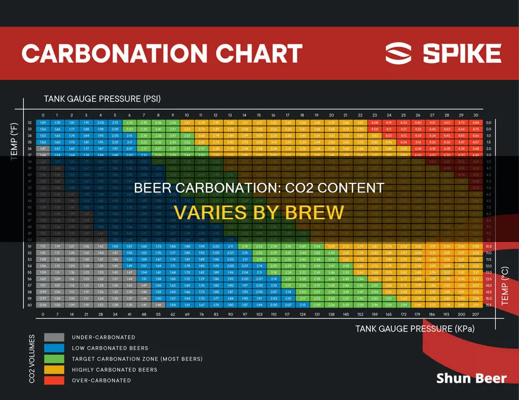 do different beers have different carbon dioxide content