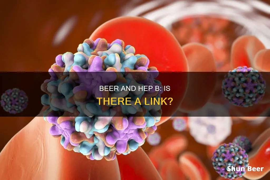 do drinking beer cause hep b