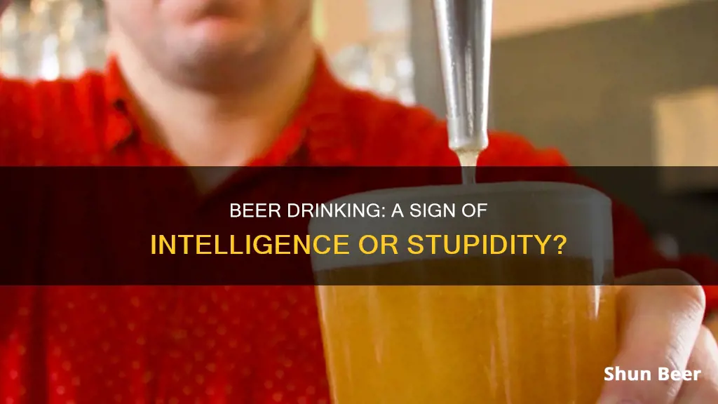 do dumb people drink beer