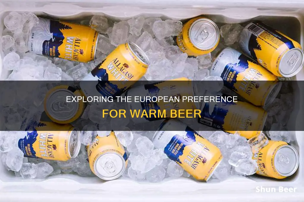 do europeans drink warm beer