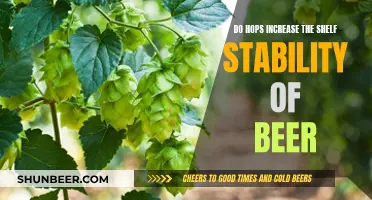 Hops' Role in Extending Beer's Shelf Life and Stability