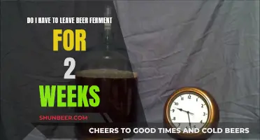 Fermenting Beer: How Long is Too Long?