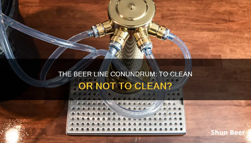 do i need to clean beer lines before tapping beer