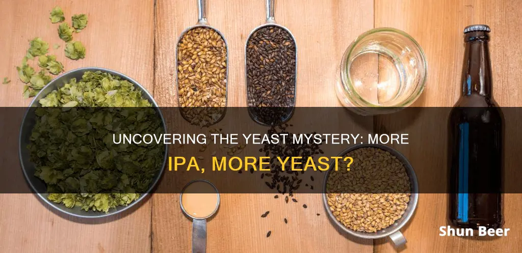 do ipa beers have more yeast