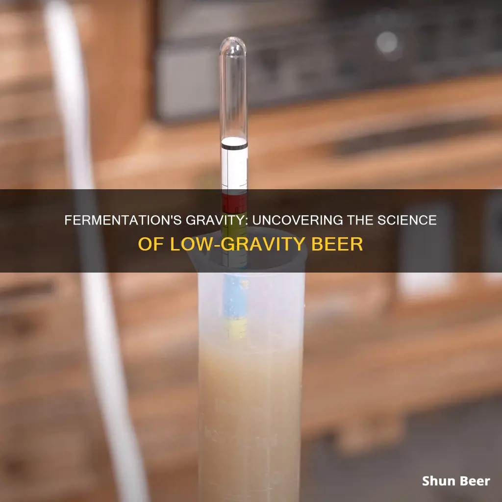 do low gravity beers ferment faster