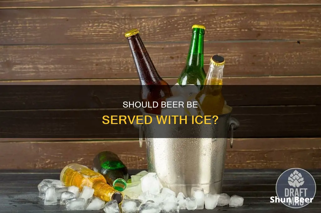 do people drink beer with ice