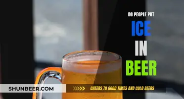 The Chilly Companion: Exploring the Ice-Beer Trend