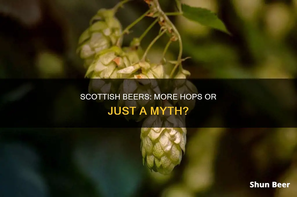 do scottish beers have more hops