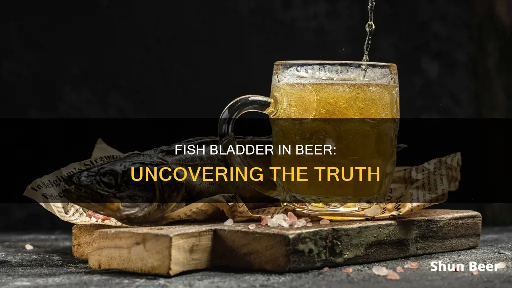 do they put fish bladder in beer