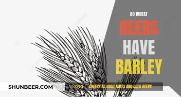 Wheat Beers: Barley's Role Explored