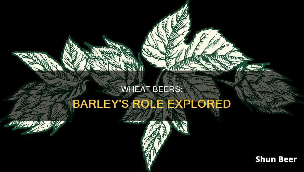 do wheat beers have barley