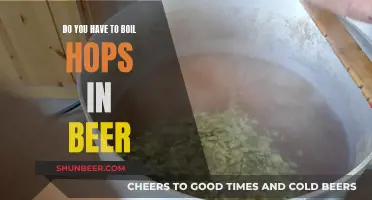 Hop Boiling in Beer: Necessary or Not?