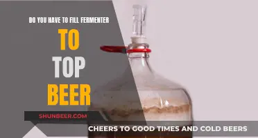 Fermenter Filling: Essential Tips for Perfect Beer Brewing