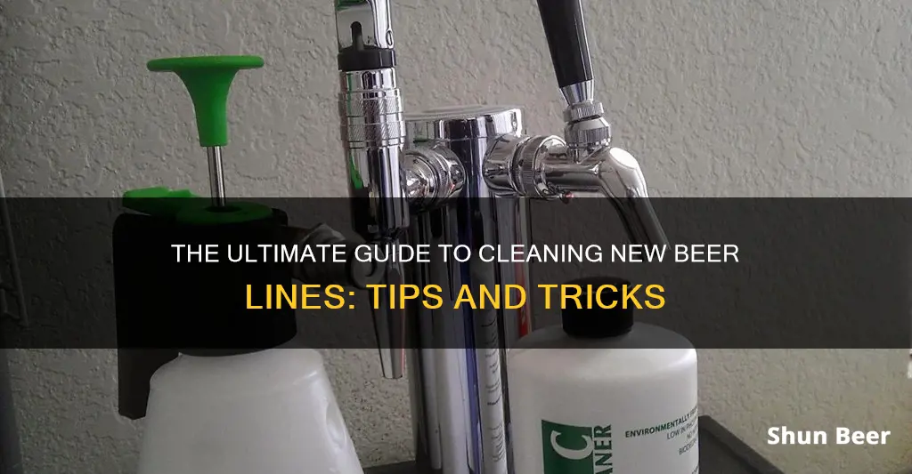 do you need to clean new beer lines