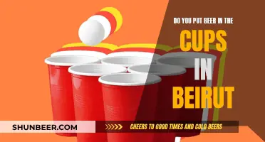 The Beirut Beer Experience: Pouring Fun into Cups