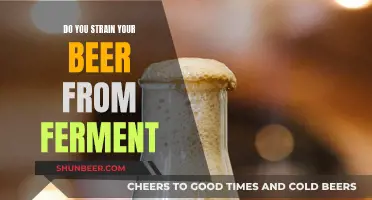 The Art of Straining Beer: Fermentation's Final Touch