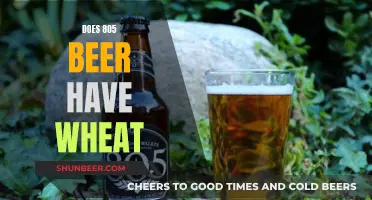 Wheat-Free Refreshment: 805 Beer's Unique Blend