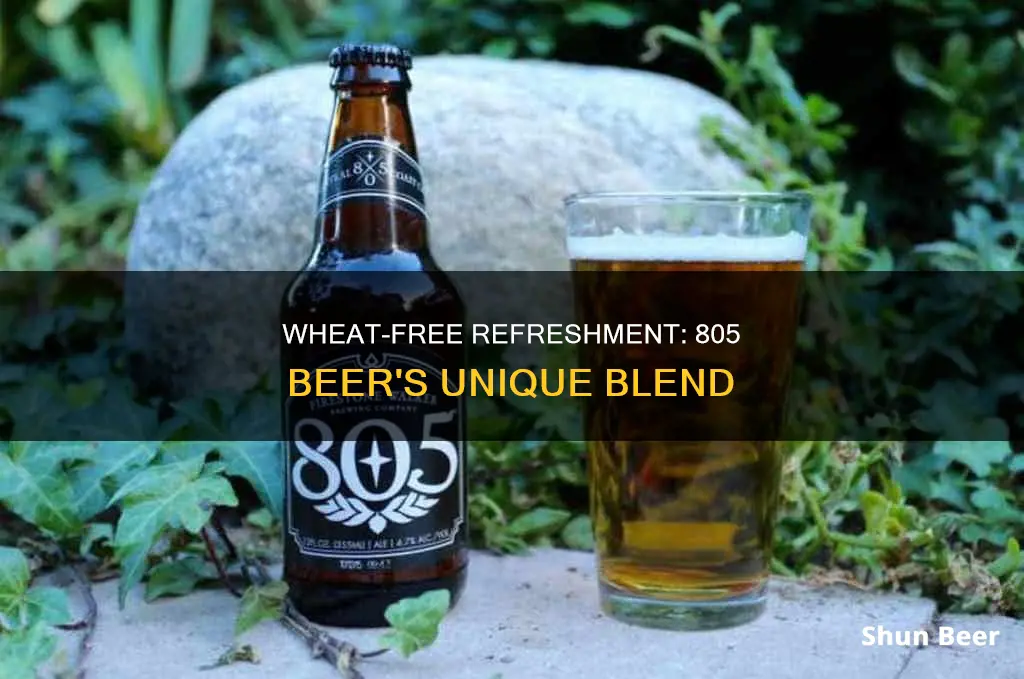 does 805 beer have wheat