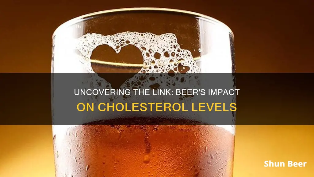 does a beer a day raise cholesterol