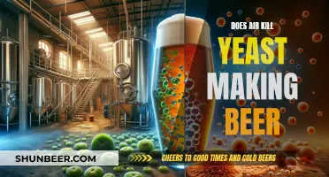 Air's Role in Yeast's Beer-Making Fate