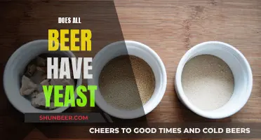 Uncovering the Yeast Mystery: Does Every Beer Contain Yeast?