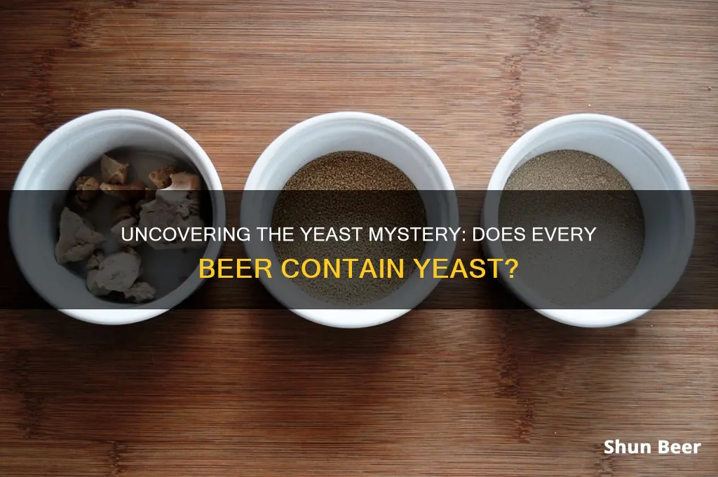 does all beer have yeast