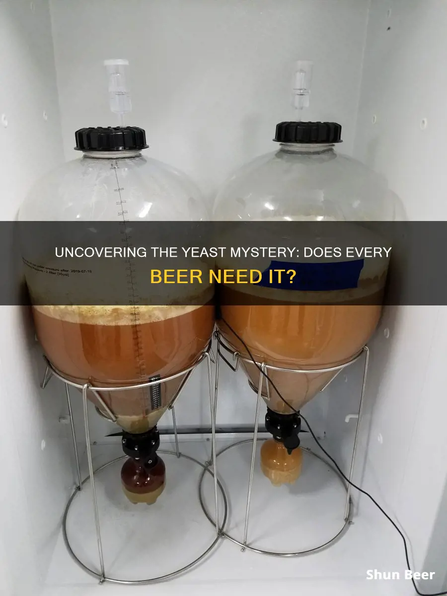 does all beer require yeast