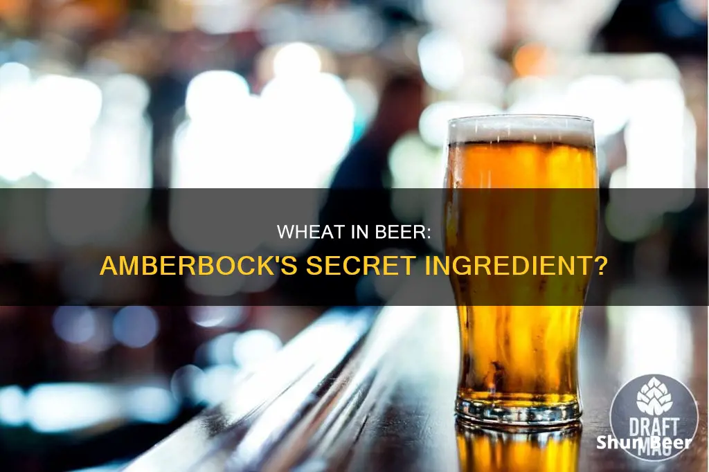 does amberbock beer have wheat