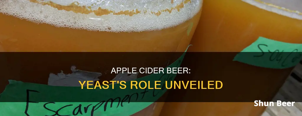 does apple cider beer have yeast