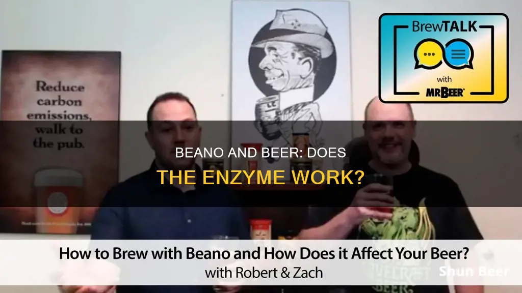 does beano work for beer