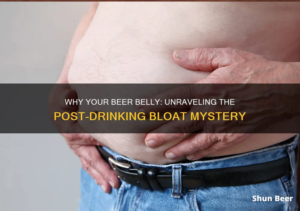 does beer bloat you the next day