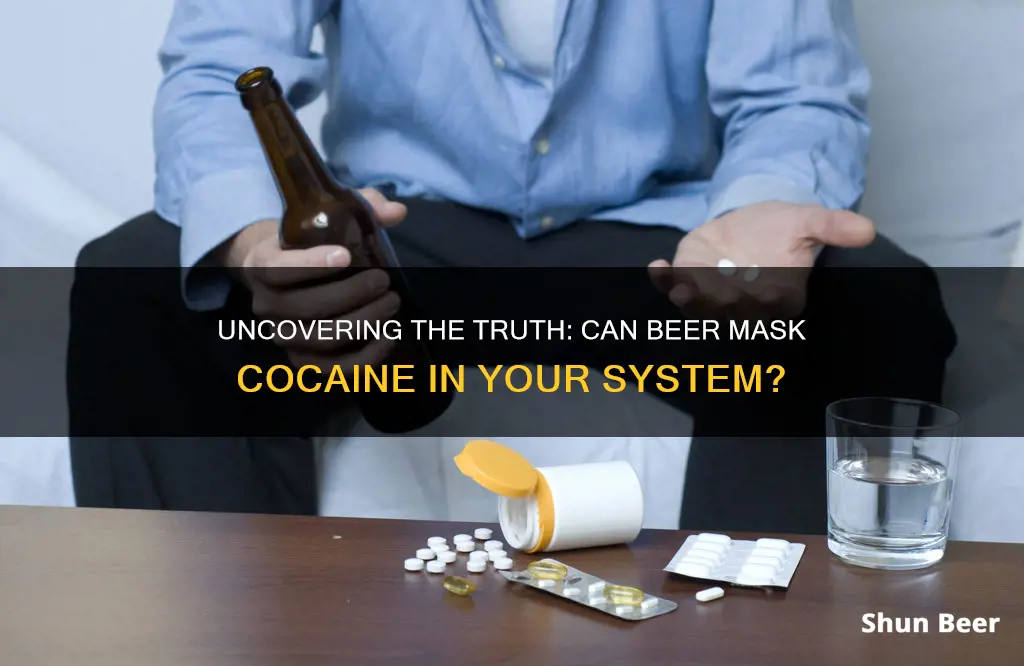 does beer clean cocaine from your system