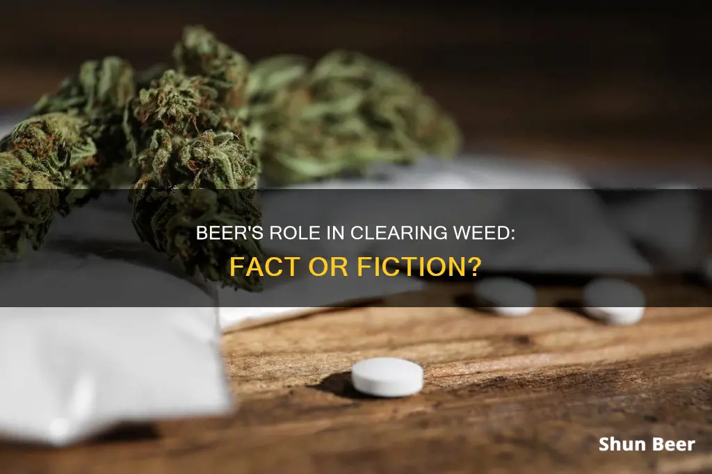 does beer clean out your system from weed