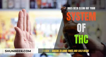 Beer's Role in THC Detox: Fact or Fiction?