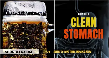 Brewed Benefits: Can Beer Cleanse Your Stomach?