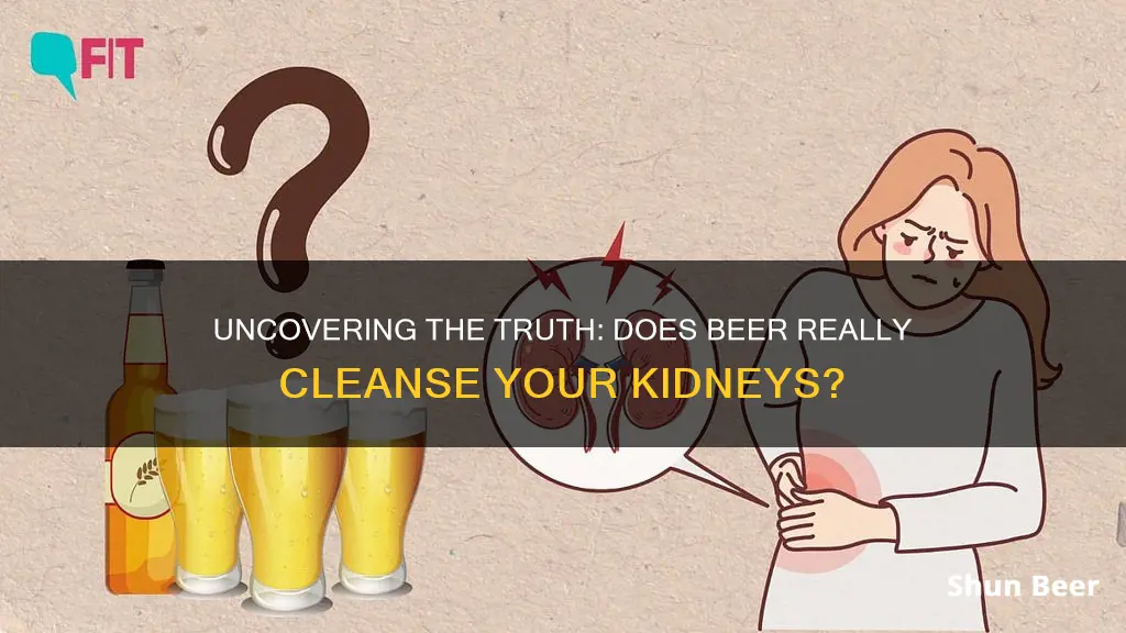 does beer clean the kidneys